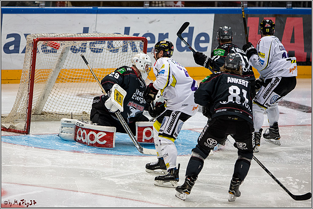 Koelner Haie - Krefelder Pinguine, 22.11.2016